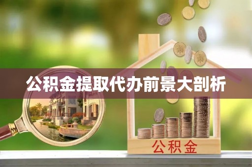 定结公积金提取代办前景大剖析